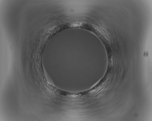 X0000091061441200708061233
