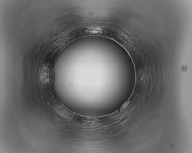 X0000091061442200708061233