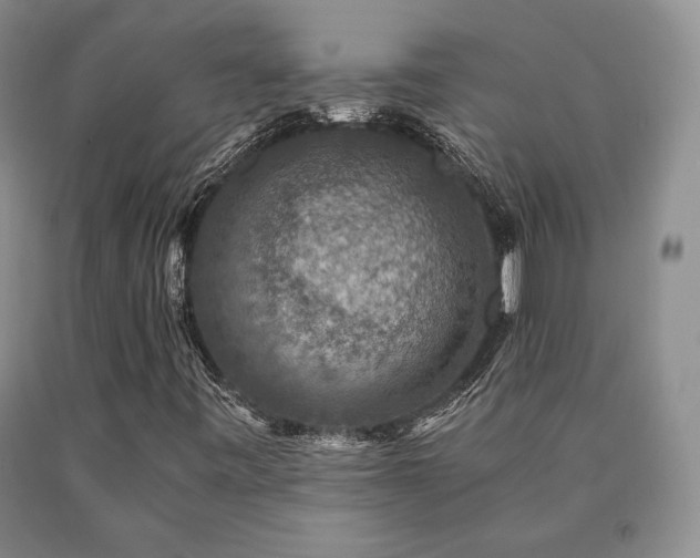 X0000091061443200708061233