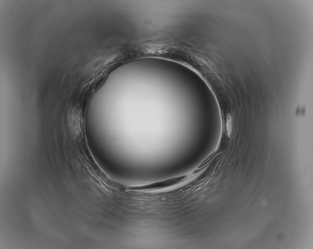 X0000091061444200708061233
