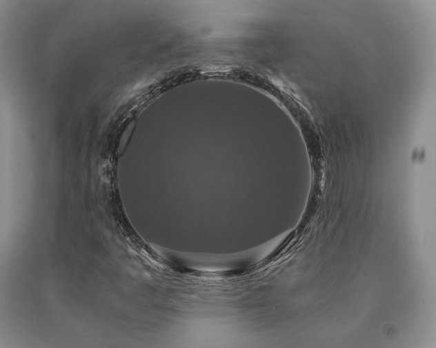 X0000091061445200708061233