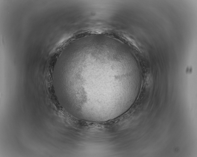 X0000091061446200708061233
