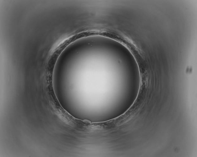 X0000091061448200708061232