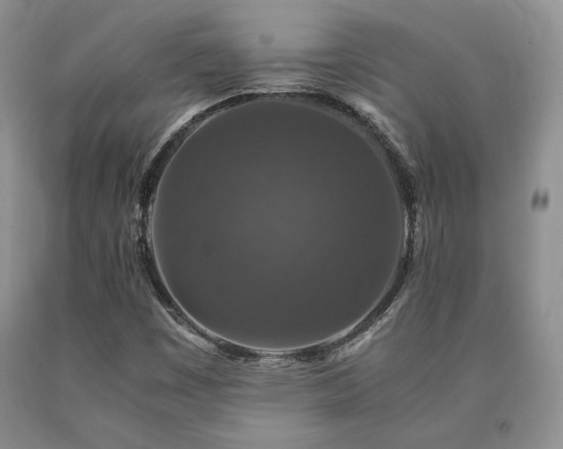 X0000091061449200708061232