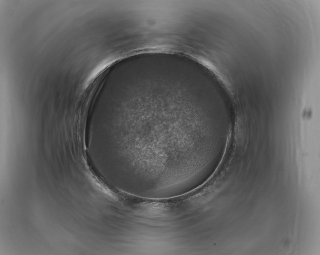 X0000091061450200708061232