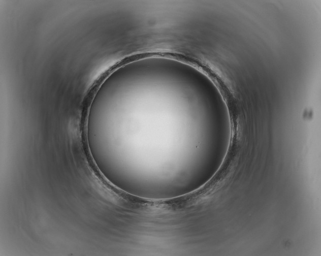 X0000091061452200708061232