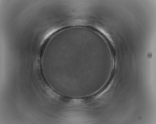 X0000091061453200708061232