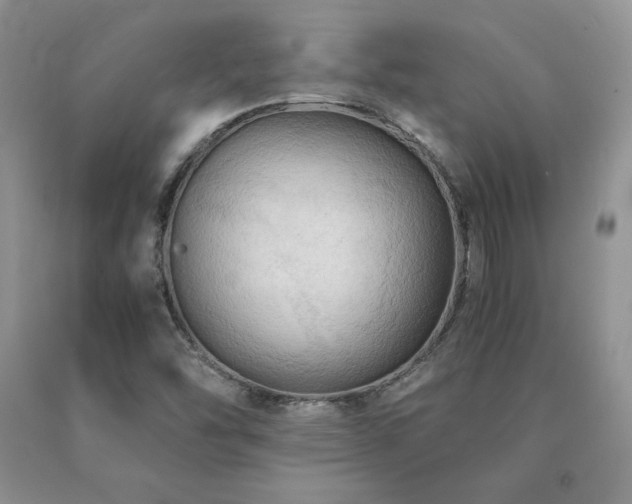 X0000091061454200708061232