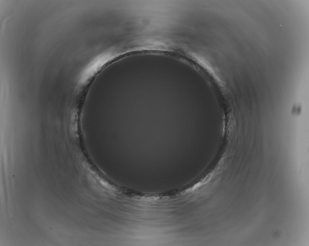 X0000091061455200708061232