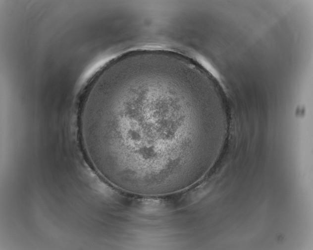 X0000091061456200708061232
