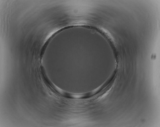 X0000091061457200708061232