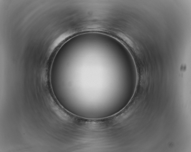 X0000091061458200708061232