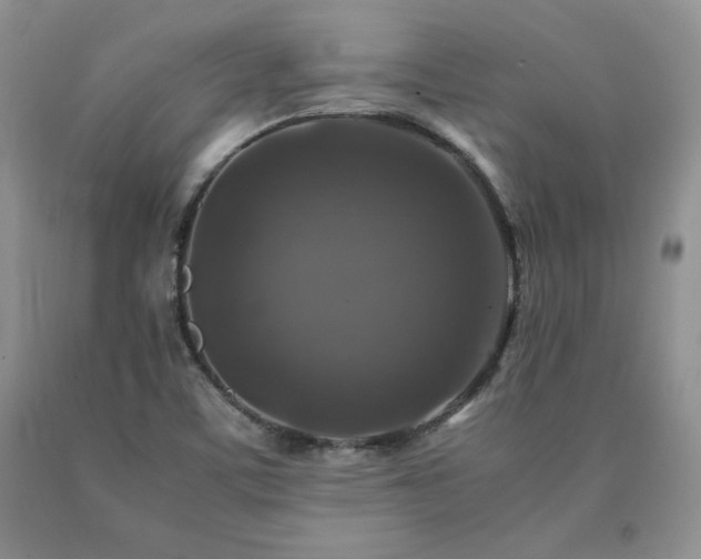 X0000091061459200708061232