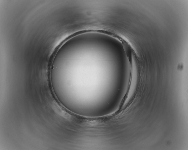 X0000091061460200708061232