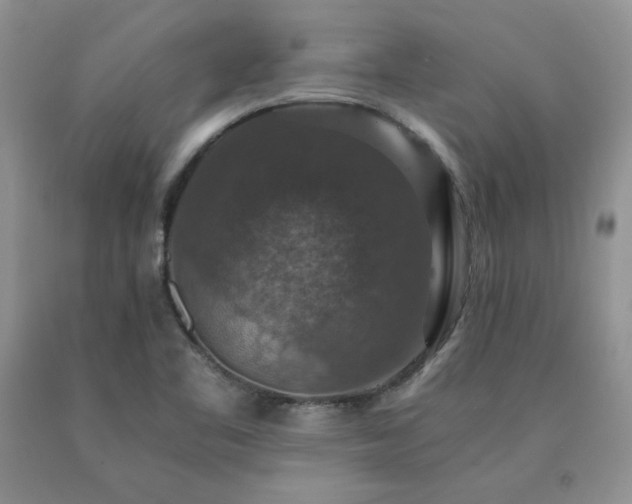 X0000091061461200708061232