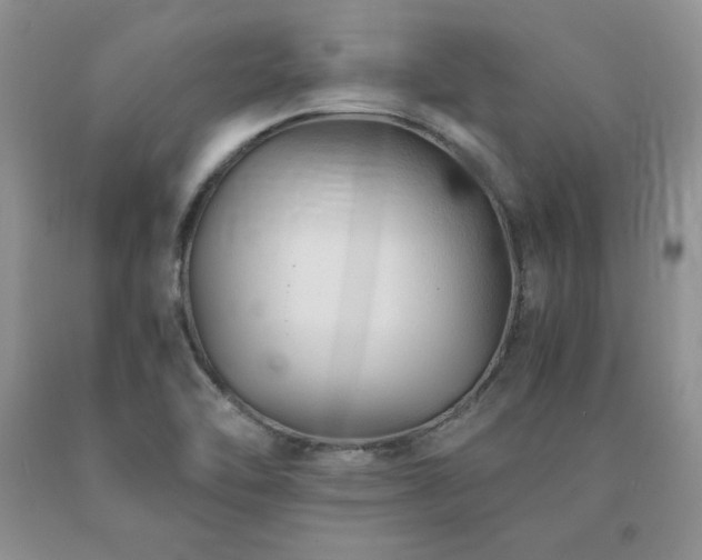 X0000091061462200708061232