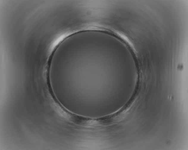X0000091061463200708061232