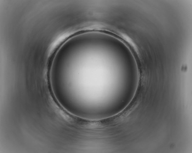 X0000091061464200708061232