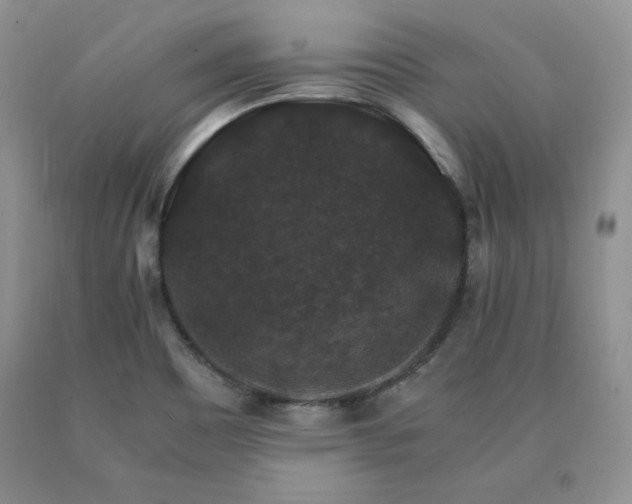 X0000091061465200708061232