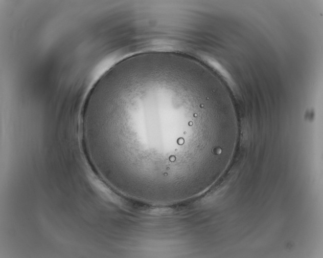 X0000091061467200708061232