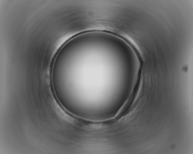 X0000091061468200708061232