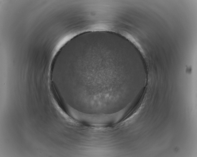 X0000091061469200708061232