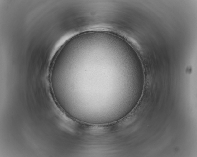 X0000091061470200708061232