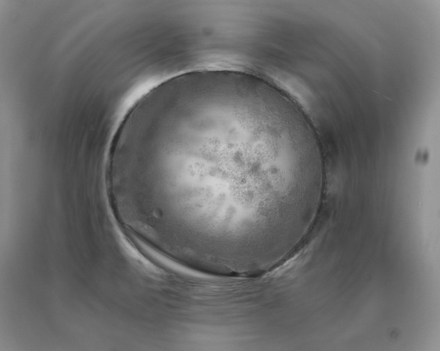 X0000091061471200708061232