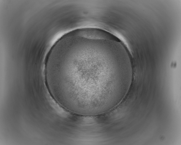 X0000091061472200708061232