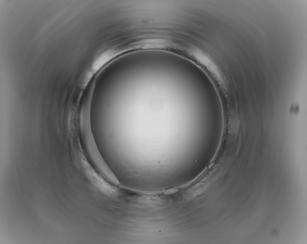 X0000091061473200708061232