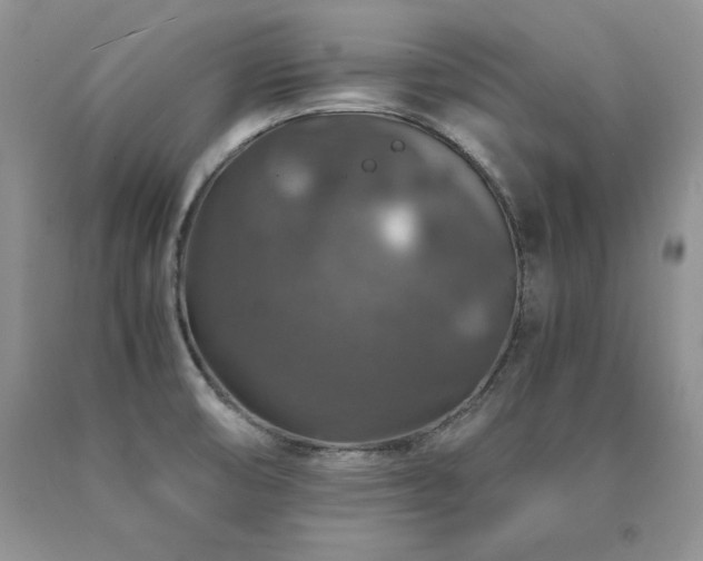 X0000091061474200708061232