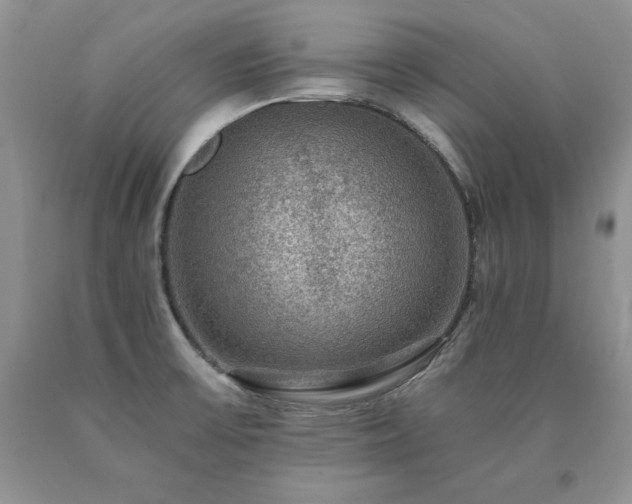 X0000091061475200708061232