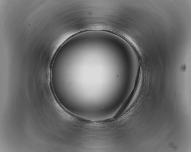 X0000091061476200708061232