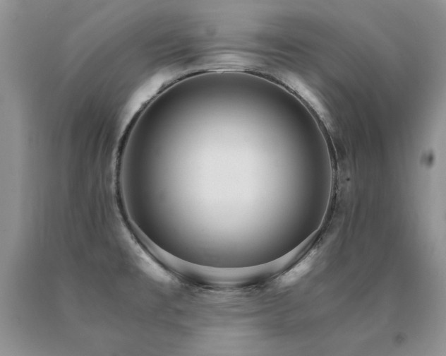 X0000091061477200708061232