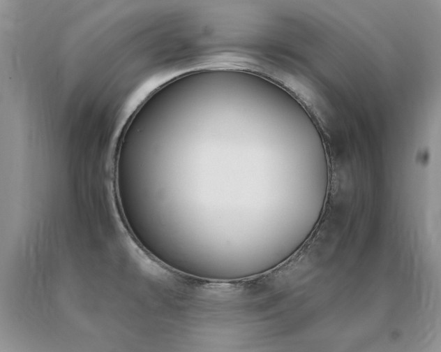 X0000091061478200708061232
