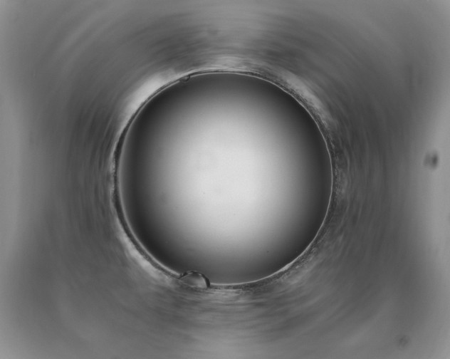 X0000091061479200708061232