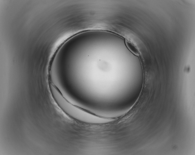 X0000091061480200708061232