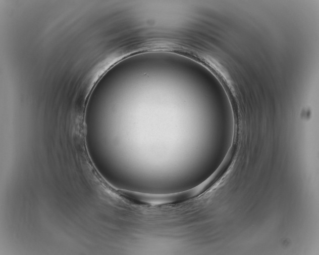 X0000091061481200708061232