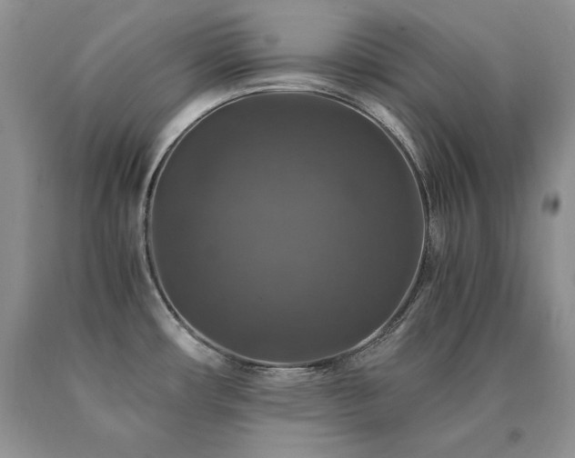 X0000091061482200708061232