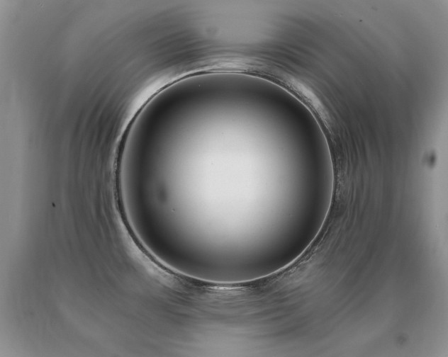 X0000091061483200708061232
