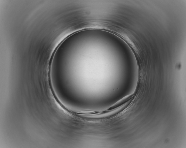 X0000091061484200708061232