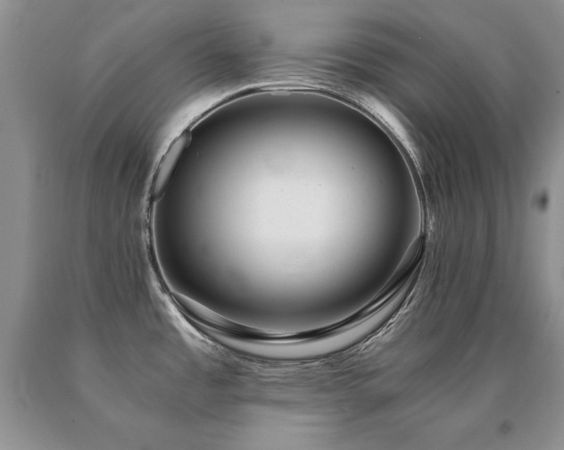 X0000091061485200708061232