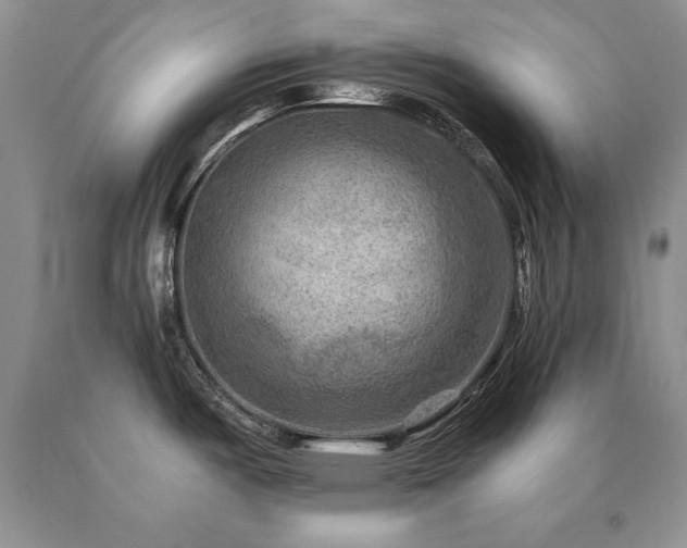 X0000091061487200708061232