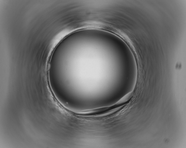 X0000091061488200708061232
