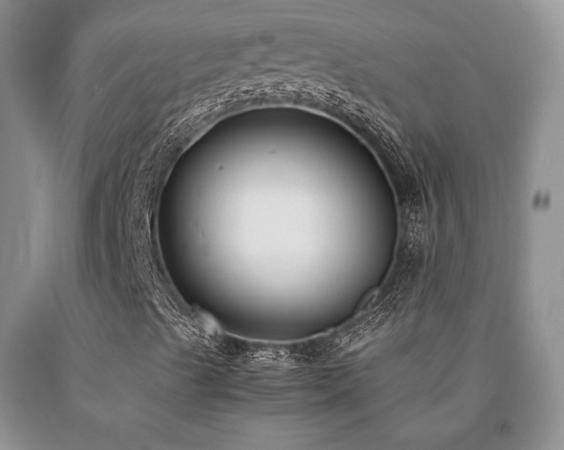X0000091061489200708061231
