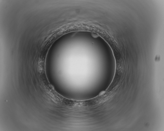 X0000091061490200708061231