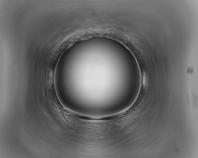 X0000091061492200708061231