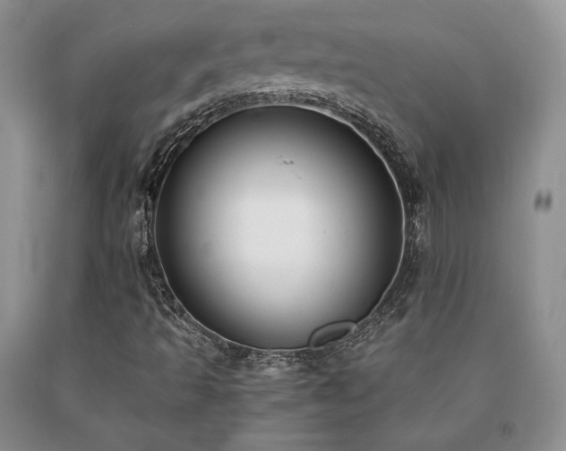 X0000091061493200708061231