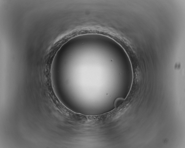 X0000091061494200708061231