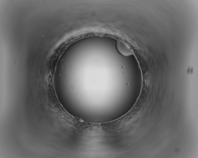 X0000091061495200708061231